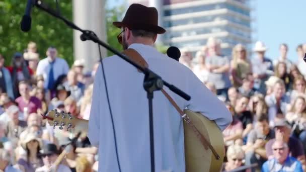 Widok z tyłu - muzyk gra gitara akustyczna podczas koncertu — Wideo stockowe