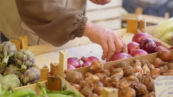 Lök, vitlök, kronärtskockor och andra grönsaker på marknadsstånd — Stockvideo