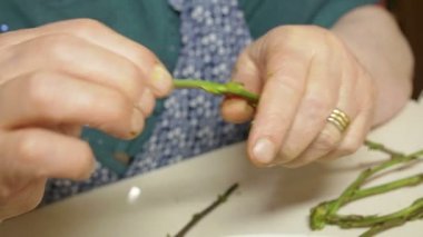 kuşkonmaz yaşlı kadın soyma