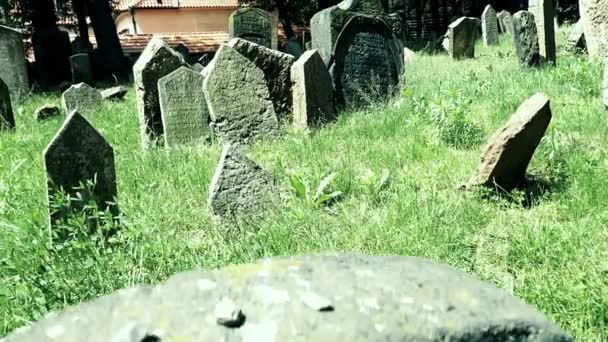 Vertical panning in the jewish cemetery of Prague — Stock Video