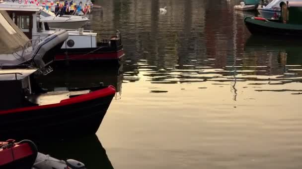 Bateaux dans le port au coucher du soleil : silence et tranquillité — Video