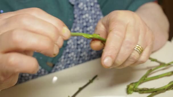 Donna anziana sta sbucciando gli asparagi — Video Stock