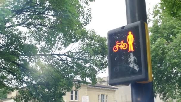 Rood verkeerslicht nachts omzetten in groene verkeerslicht — Stockvideo