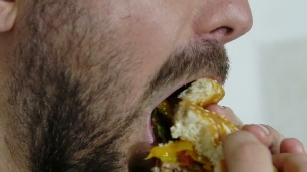 Mann isst Hamburger — Stockvideo