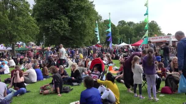 Människor i parken under konserten — Stockvideo
