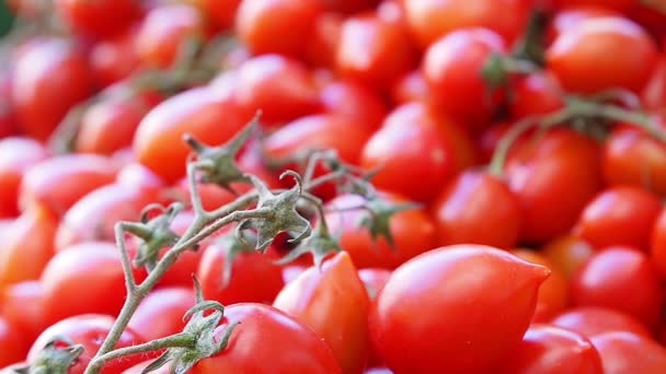 Tomates vermelhos no stand do mercado — Vídeo de Stock