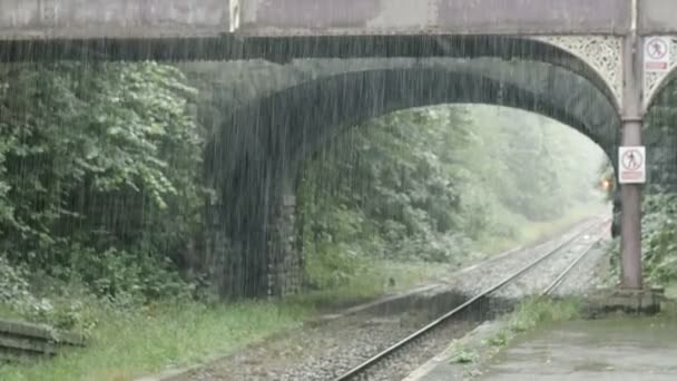 Rain on the countryside station — Stock Video