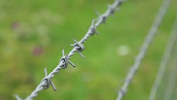 Countryside barbed wire — Stock Video