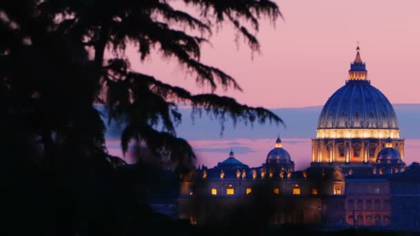 St. Peter's Basiliek bij de zonsondergang — Stockvideo