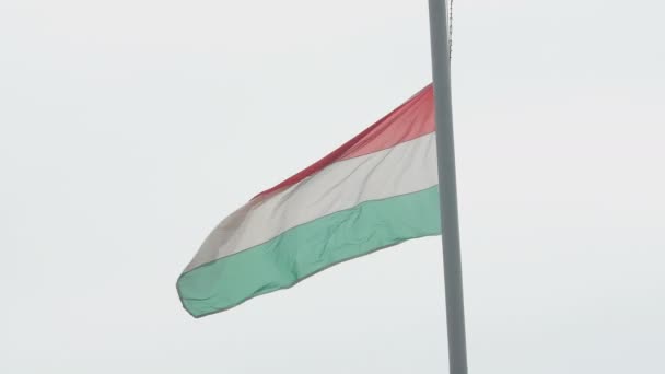 Hungary bandera vuela orgulloso en el viento en un día nublado — Vídeos de Stock