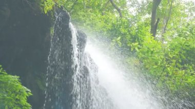 Bir canlı rainforest-Los Tilos (La Palma akan su)