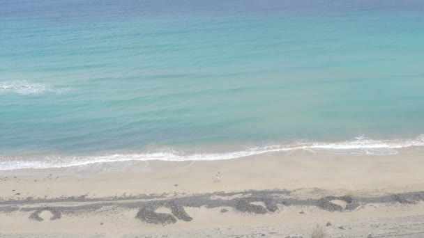 Hermosa y desierta playa, vista desde arriba — Vídeo de stock