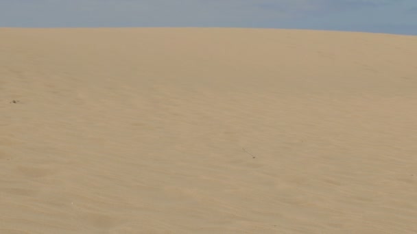 A duna deserta em um dia quente de verão — Vídeo de Stock