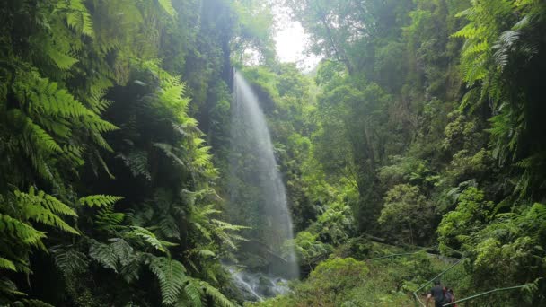 Los Tilos (La Palma)- Lonely man goes up the river to the falls — Stock video