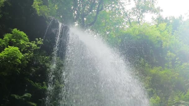 Reflexión forestal en el agua - Escena otoñal en el parque — Vídeo de stock