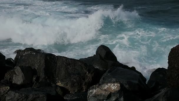 Fuerteventura - tornyosuló hullámok összeomlik a sziklákon, vihar — Stock videók