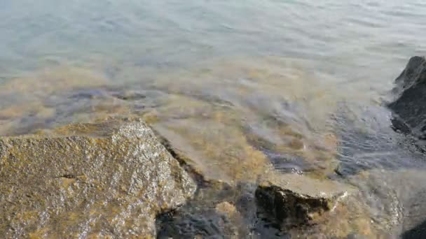 Eau calme et cristalline qui coule sur de petites roches calme sérénité — Video