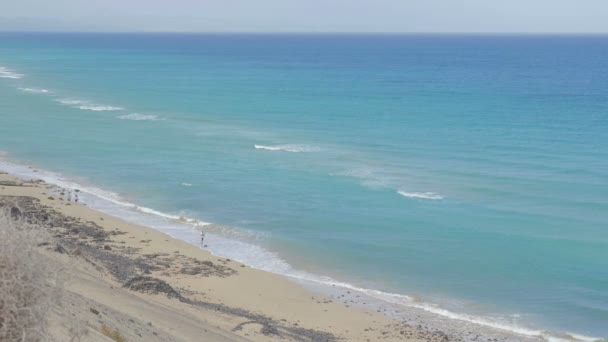 Fuerteventura- deserted beach washed by the sea — Stock Video