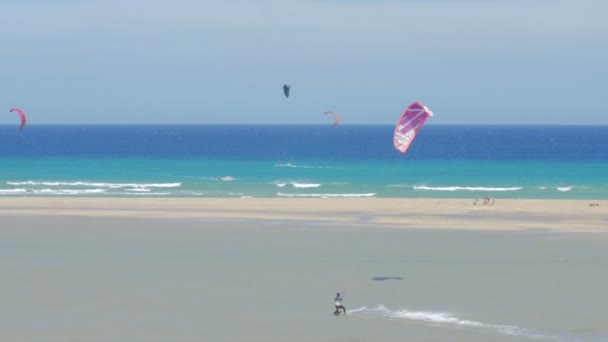 Fuerteventura la gente fa kite surf su una bella spiaggia in una giornata ventosa — Video Stock