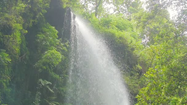 Los Tilos Waterfall -  waterfall water falling  copiously — Stock Video