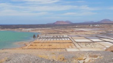 panoramik Lanzarote deniz bitkileri