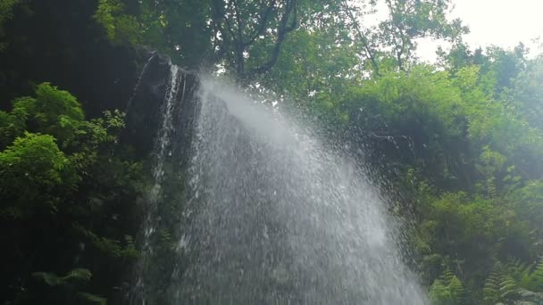 De kracht van de natuur: water uit de rotsen - Los Tilos La Palma stromende — Stockvideo