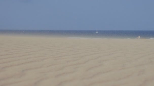 Fuerteventura: deserted beach on a hot summer day — Stock Video