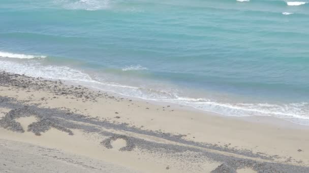 Fuerteventura: tranquilla giornata di sole su una spiaggia deserta — Video Stock