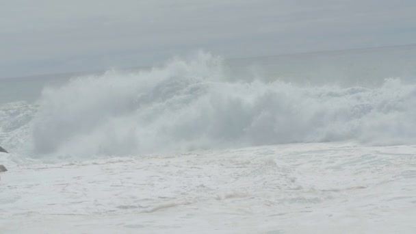 Grande onda que quebra o mar - câmera lenta — Vídeo de Stock