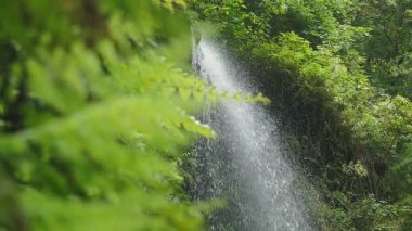 şelale yüksek sesle ormandaki buzlu vurur.