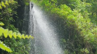  Los Tilos (La Palma)-kayalardan fışkıran doğa su gücünü