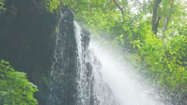 Los Tilos şelale (La Palma) akan su ile canlı bir yağmur ormanı
