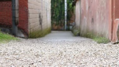 Yardım, sakatlık. Elinde bastonu olan kör bir adam arkadaşıyla yürüyor.