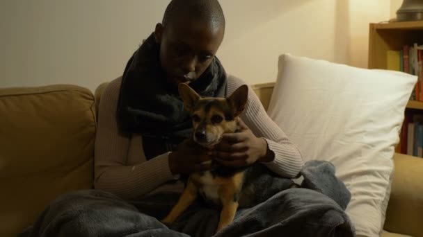 Affection Compagnie Femme Noire Assise Sur Canapé Caresse Son Chien — Video