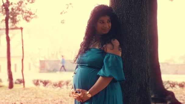 Όμορφη Έγκυος Γυναίκα Ακουμπισμένη Ένα Δέντρο Στο Πάρκο Χαμογελάει Κάποιον — Αρχείο Βίντεο