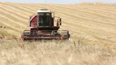 ... tarlada çalışan biçerdöveri birleştirin.