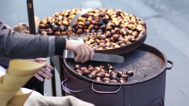 Vendor selling hot chestnuts — Stock Video