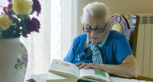 Γριά, μελετώντας ένα παλιό βιβλίο, ηλικιωμένοι — Αρχείο Βίντεο
