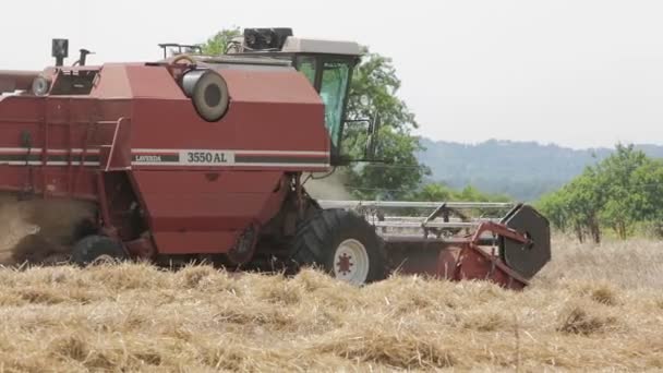 Combinar colheitadeira trabalhando no campo — Vídeo de Stock