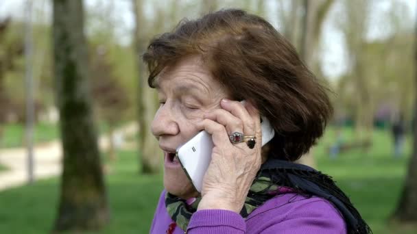 Mulher velha no parque está tendo uma chamada de telefone móvel — Vídeo de Stock