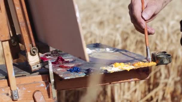 Maler malt eine schöne Landschaft — Stockvideo