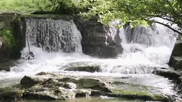 Wonderful waterfalls in wild nature — Stock Video