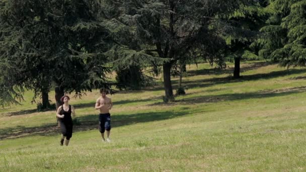 Jogging en couple dans le parc — Video