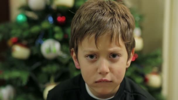 Retrato da criança sorrindo para a câmera árvore de natal no fundo — Vídeo de Stock