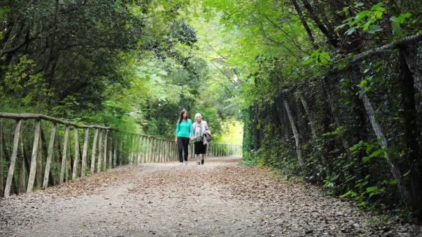 Grandmother and granddaughter walking in the park holding hands — Stockvideo