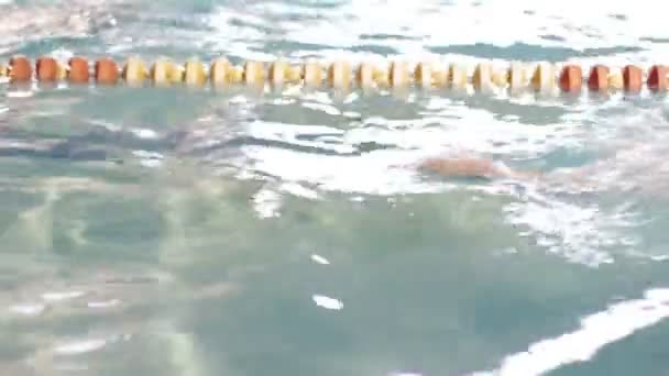 Piscina passando davanti a un nuotatore — Video Stock