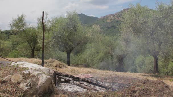 Restos carbonizados de madera — Vídeo de stock