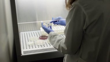 Mikrobiyolojik analitik prosedür