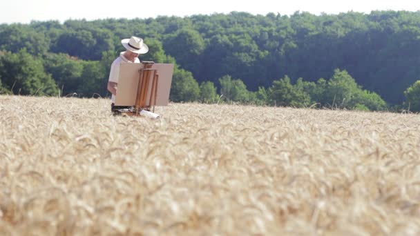Malíř maluje kukuřičném poli při východu slunce — Stock video
