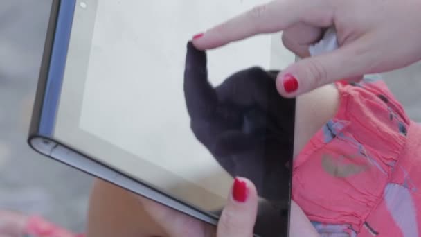 Female hands with tablet computer,outdoors — Stock video